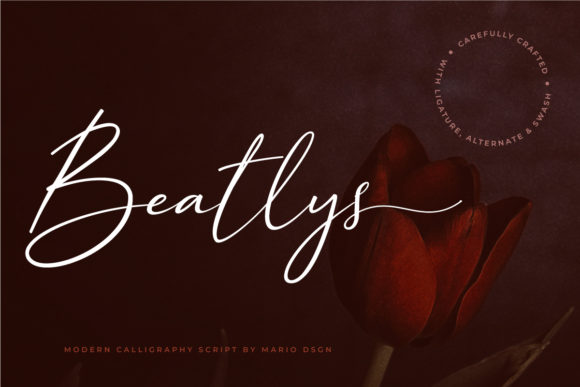 Beatlys: A Modern Calligraphy Script Font for Elegant Web Design