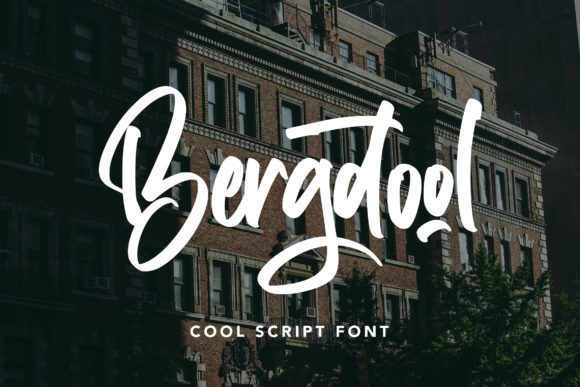 Bergdool: A Modern Script Handwritten Font for Elegant Branding