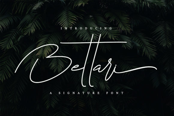 Bettari Script Font for Elegant Web Design