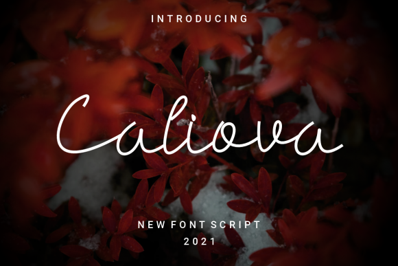 Caliova: The Thin Script Font for Elegant Brand Identity