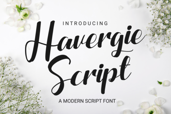 Havergie: The Chic Script Handwritten Font for Trendy Branding
