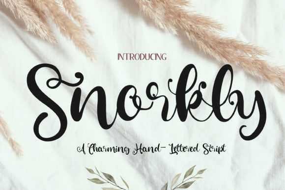 Snorkly: The Whimsical Script Font for Relaxed Digital Branding