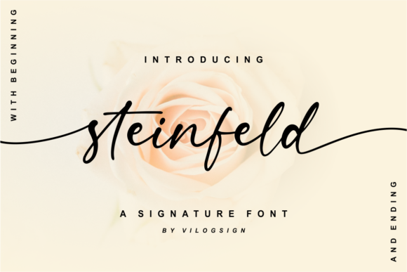 Steinfeld Typeface Review: Elegant Script for Modern Branding